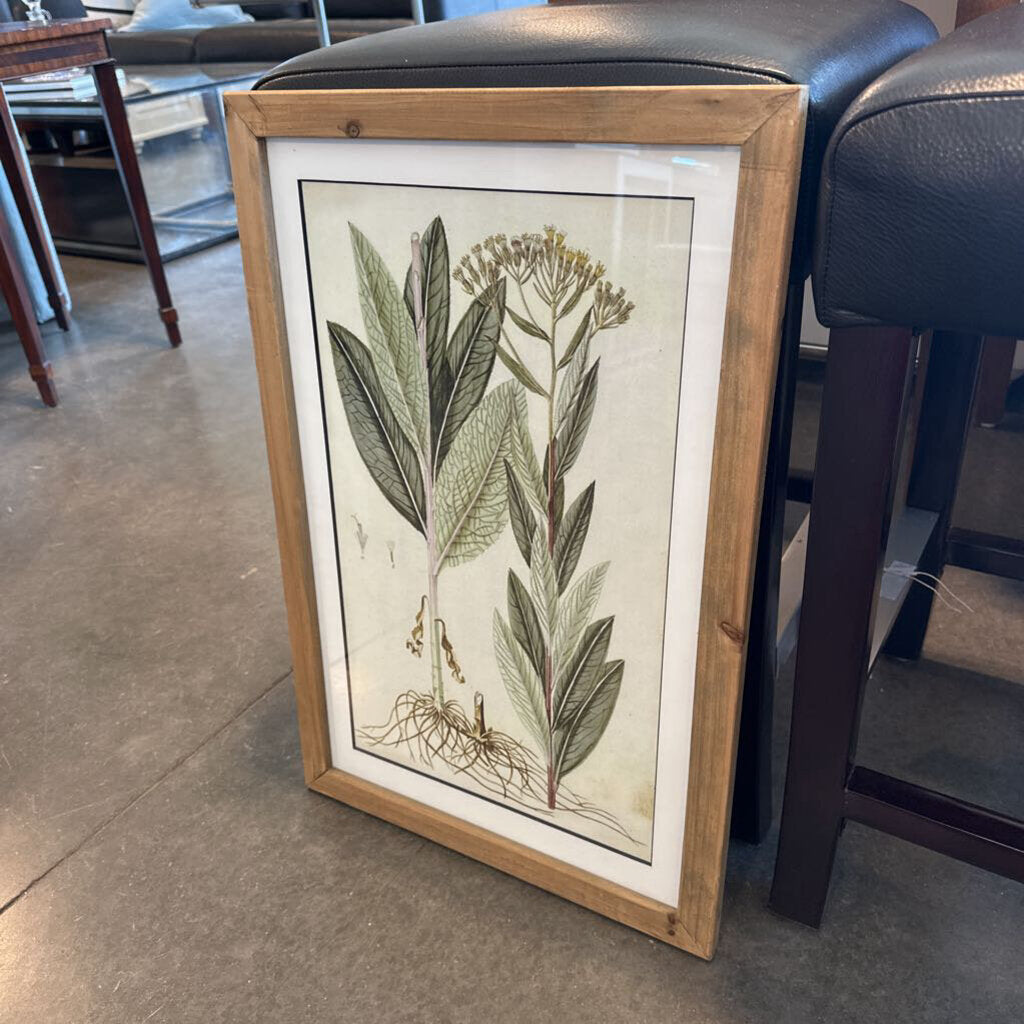 Botanical Print II W/ Light Wood Frame - 16X24