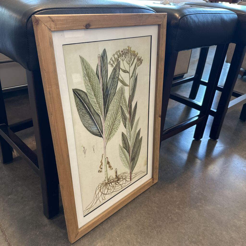 Botanical Print II W/ Light Wood Frame - 16X24