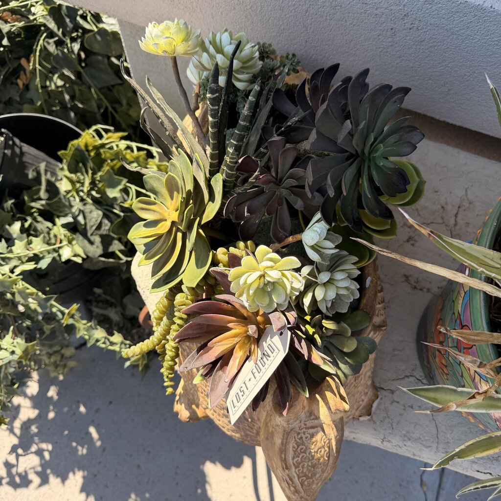 Ceramic Armadillo W/ Succulents- 24X11X14- AS IS