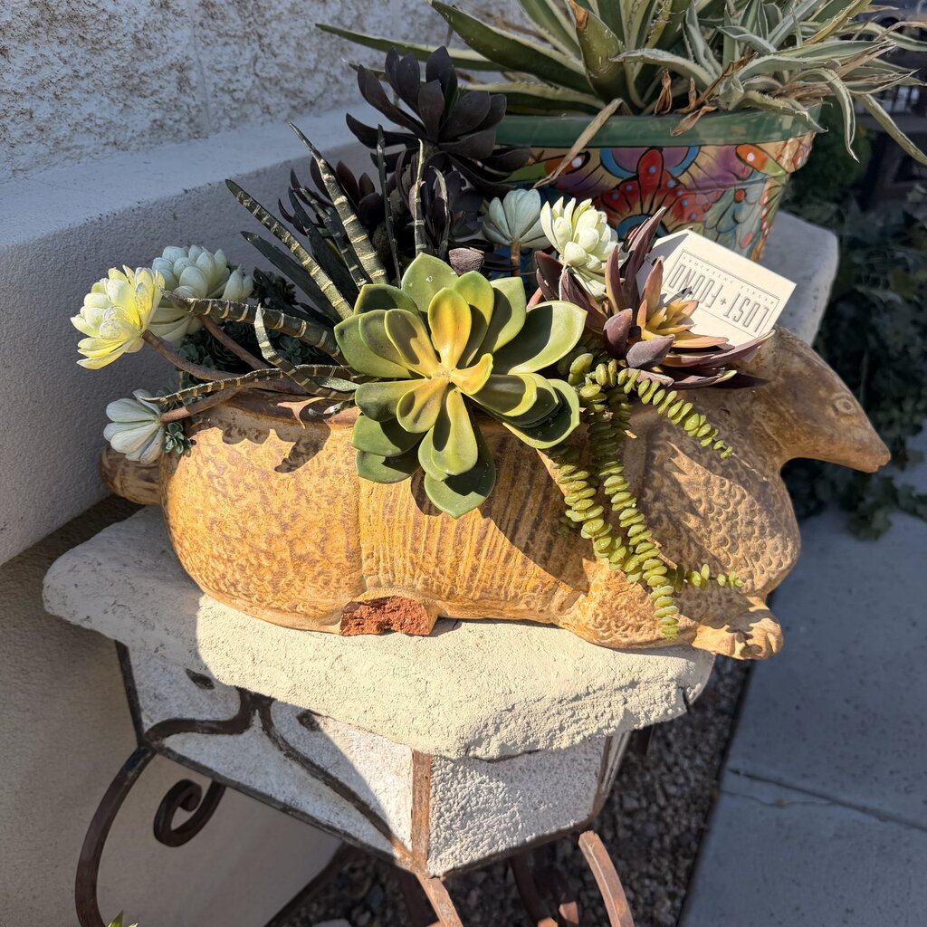 Ceramic Armadillo W/ Succulents- 24X11X14- AS IS