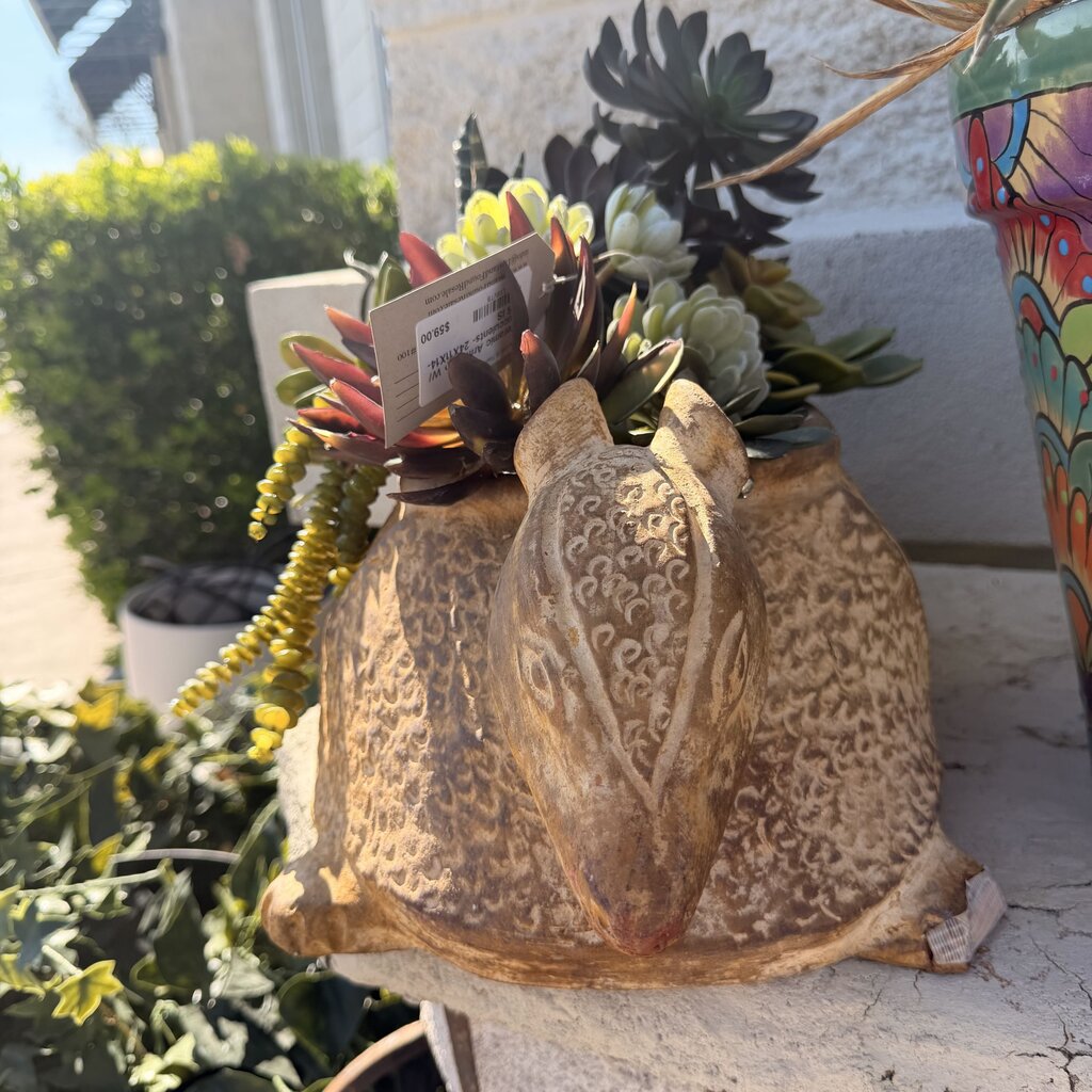 Ceramic Armadillo W/ Succulents- 24X11X14- AS IS
