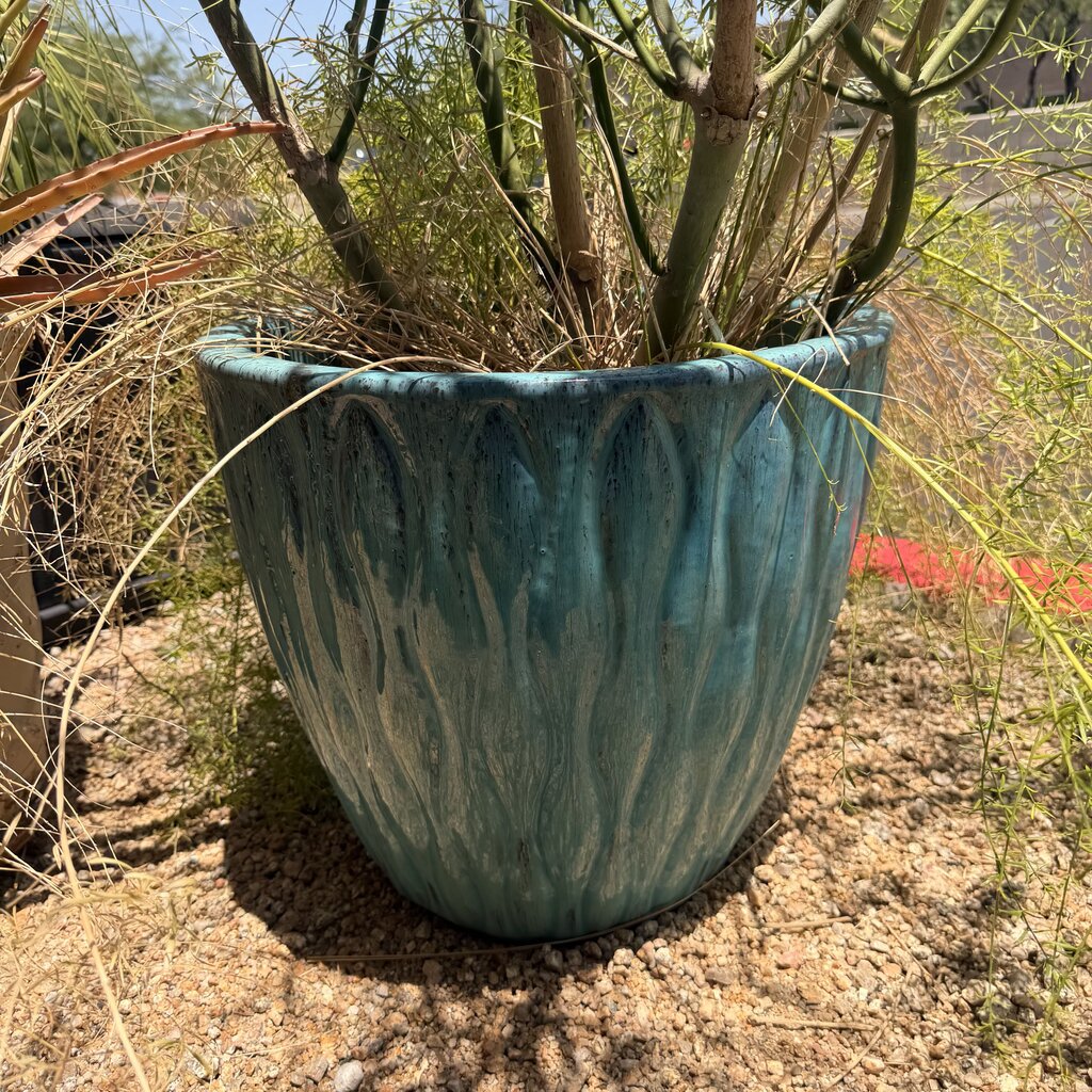 Fire Stick Cactus W/ Fern- 21X16.5