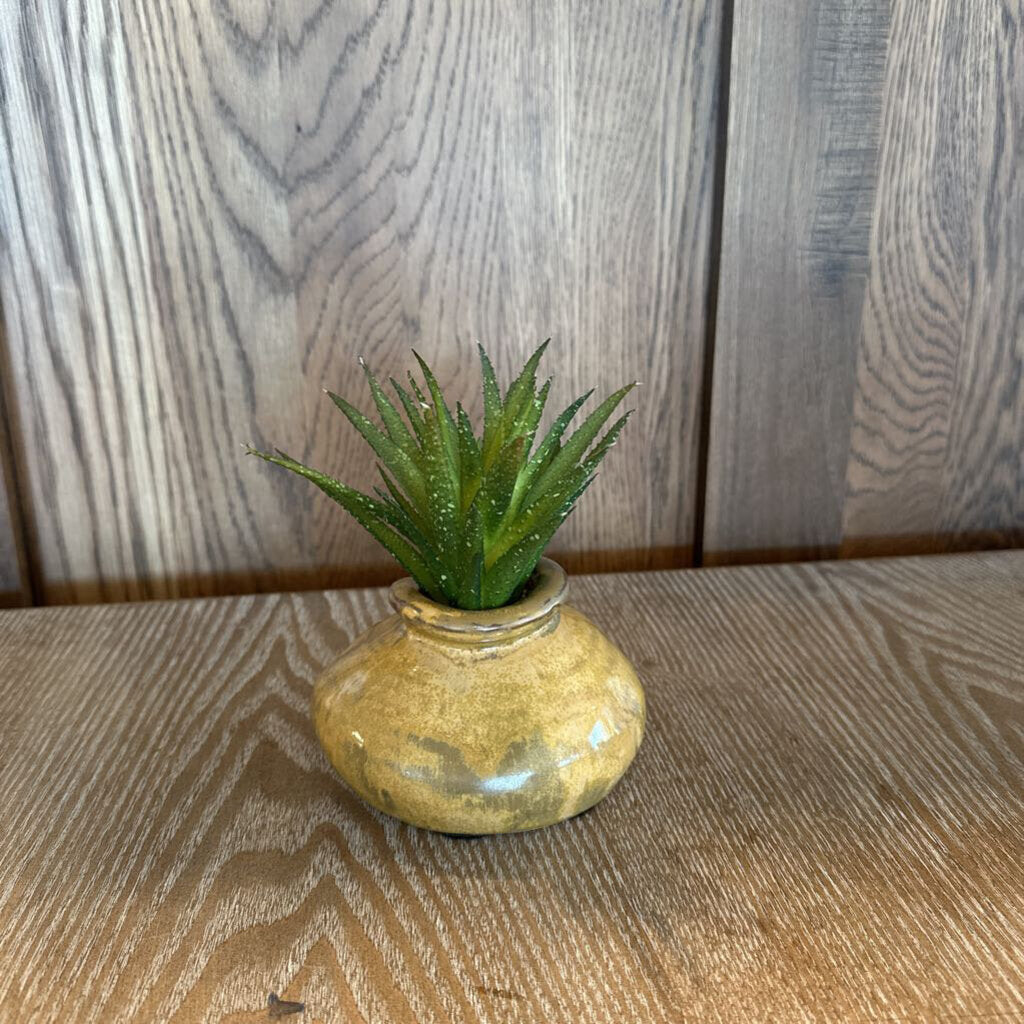 Santa Fe Saavy Small Succulent In Hand Made Vase-5X6