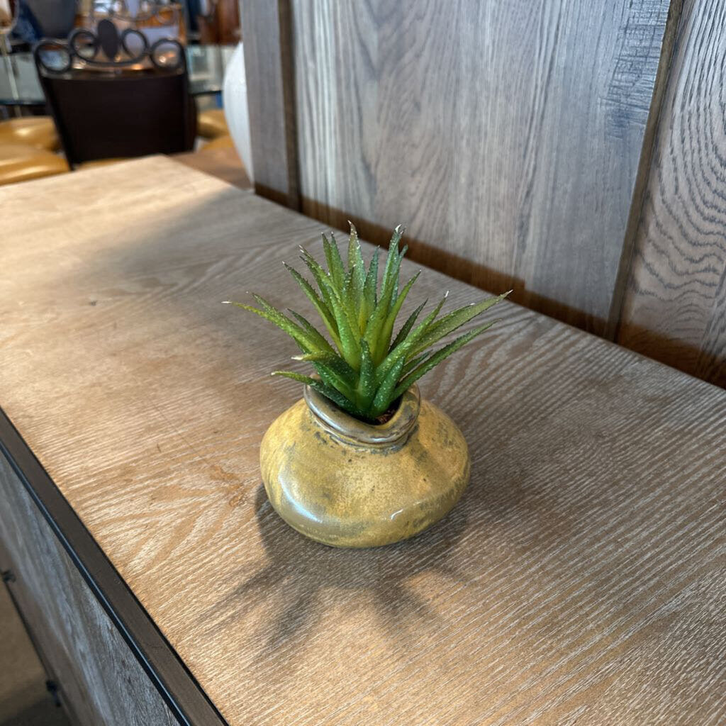 Santa Fe Saavy Small Succulent In Hand Made Vase-5X6