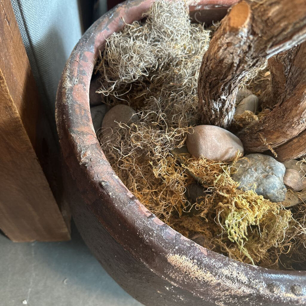Dracena Plant In Rustic Brown Terra Cotta Pot - 20X90H